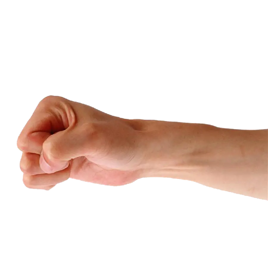 High quality PNG image of fisted hand 