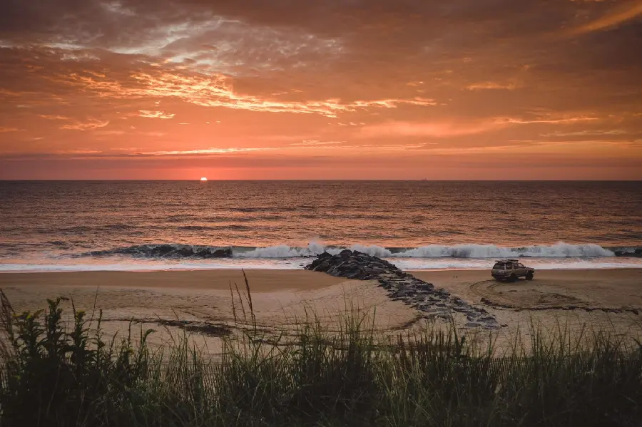 Stylish and classy beach grass wallpaper and eye-catching sunset