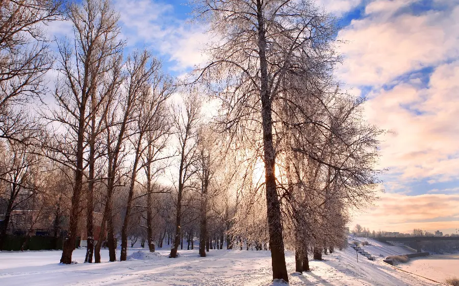 Download winter background among pristine areas and forests
