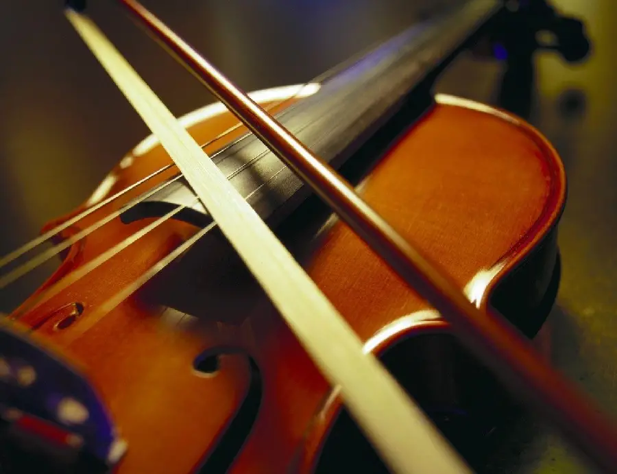 Artistic photography of the violin, the smallest member of the stringed instruments, bowed 