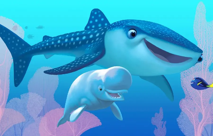 Whale shark graphic and cartoon design, what shark, HD quality