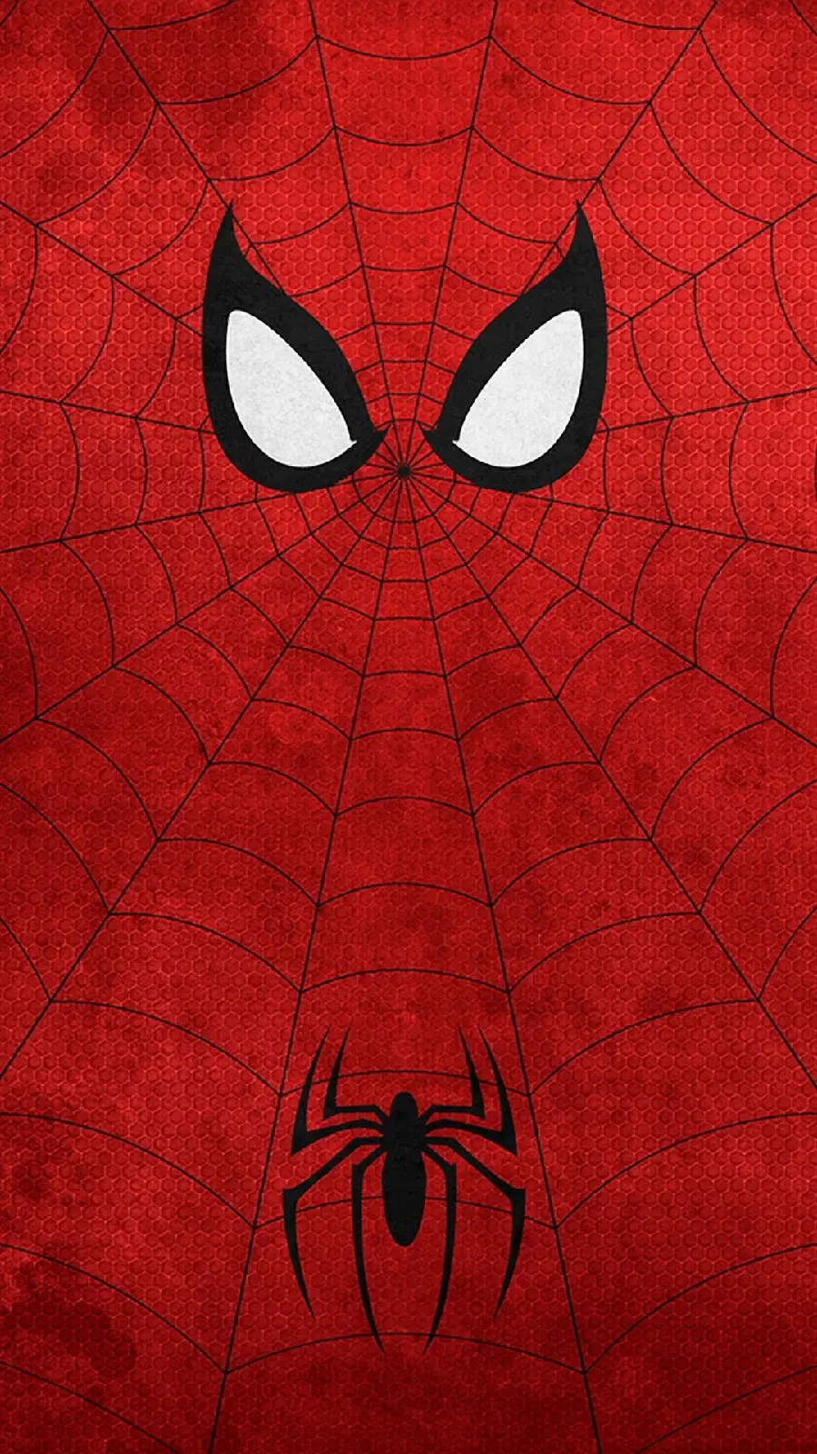 Download an amazing picture of a spider with excellent quality 