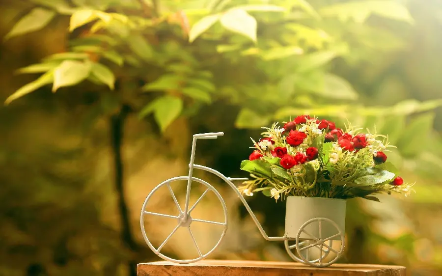 HD quality wallpaper of a bicycle and red flowers