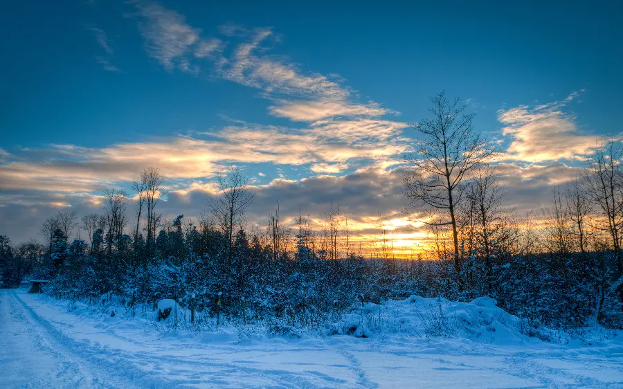 Special and spectacular natural landscape of the winter season at sunrise