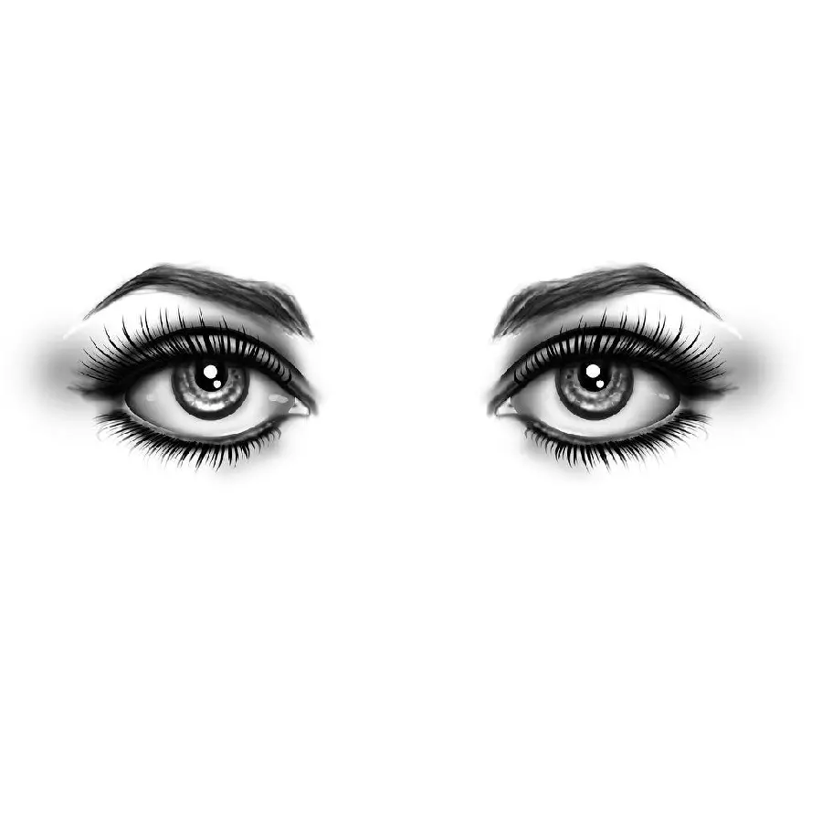 Fantasy eye and eyebrow profile photo with thick and long black eyelashes 