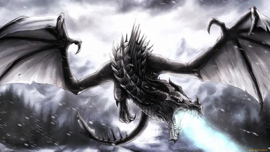 The latest fantasy dragon graphic photo with the highest quality 