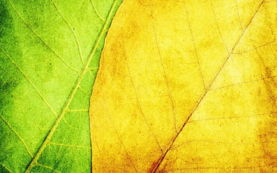 Two-dimensional texture and yellow and green leaf design in a modern minimalist style 