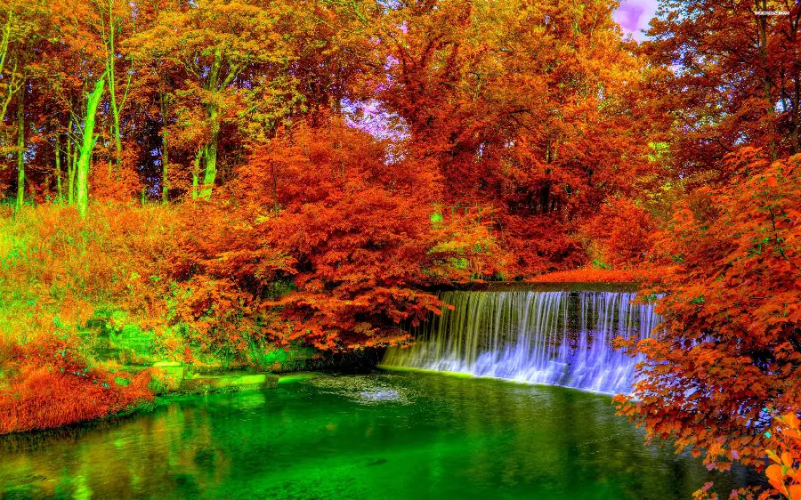 The image of a dreamy and cool waterfall in the autumn forest full of trees HD 