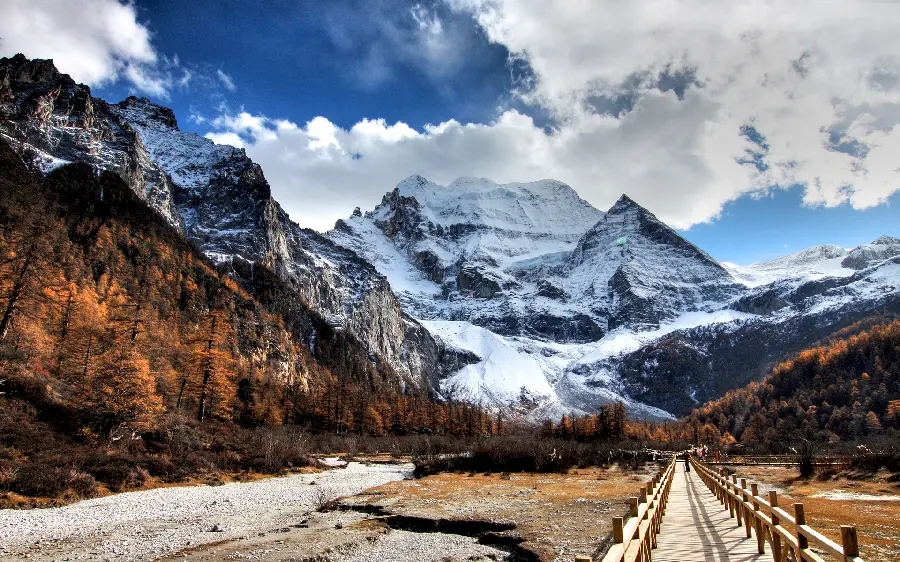 High quality full HD nature wallpaper