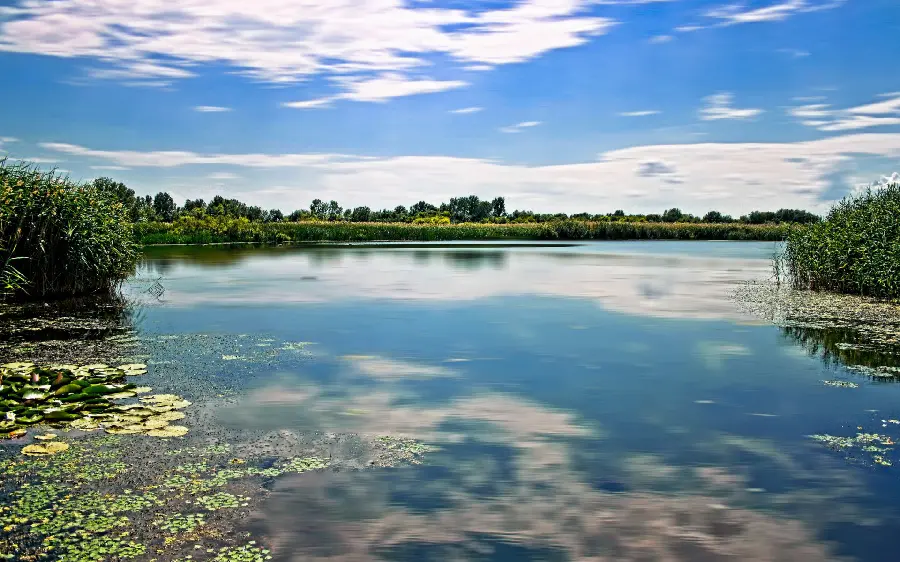A very beautiful and spectacular photo of a lake view with a direct link