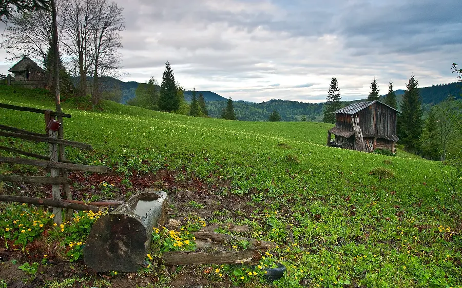 Lush and pleasant landscape wallpaper with cool, cloudy and spring weather