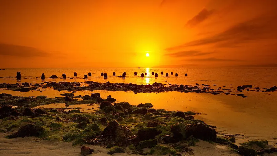 Download photo of a beautiful and spectacular view of a golden sunset