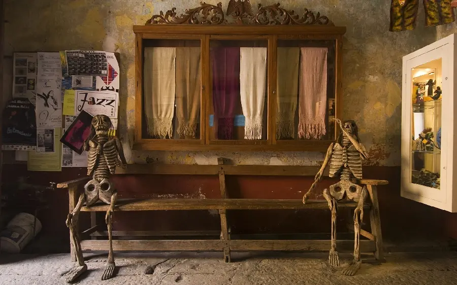 Download classic and wooden wallpaper with two skeletons and themes Brown 