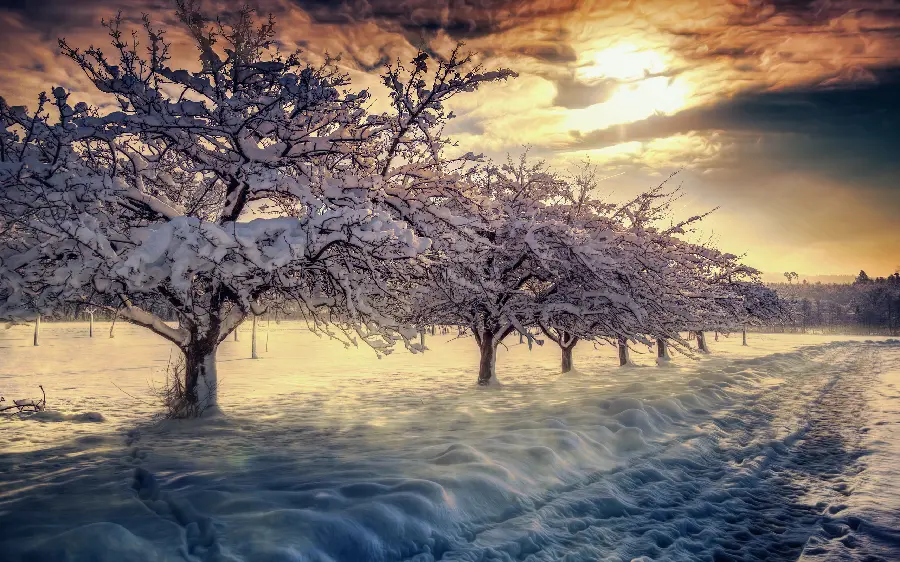 Free and high-quality stock image of a pleasant winter and snowy morning 