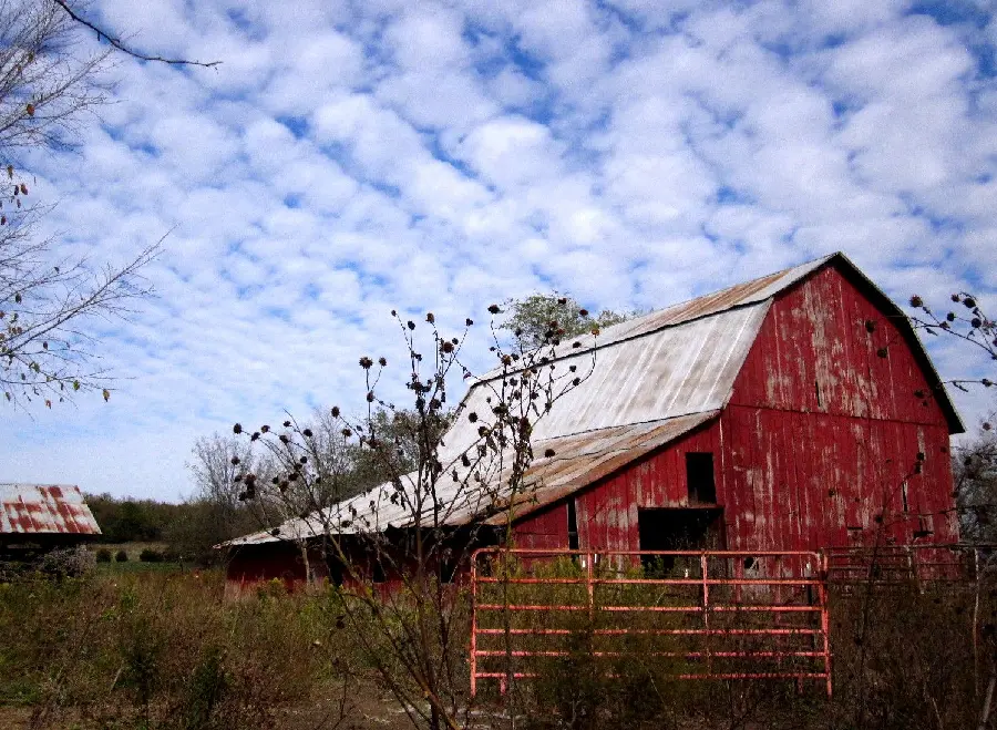 Background with a nice quality of a granary Grain with a sky covered with white clouds