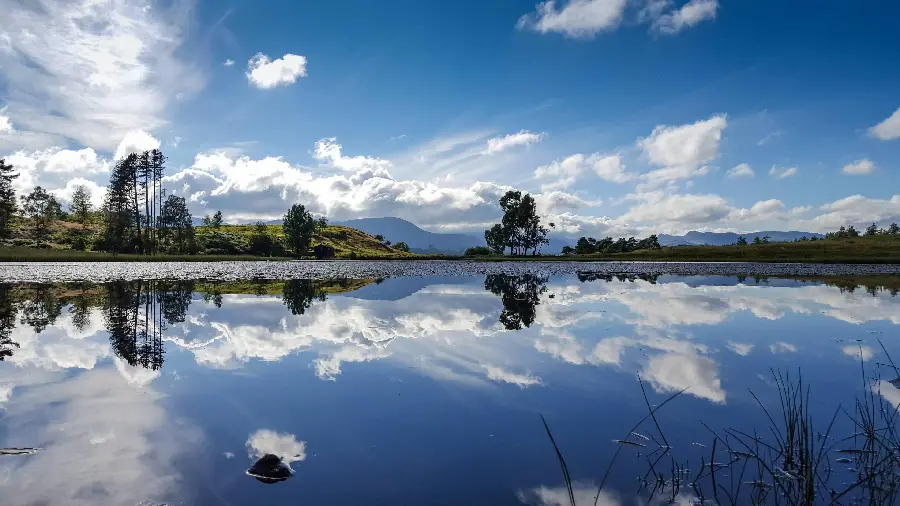 Background of one of the best places for a camp by the lake, suitable for laptops 