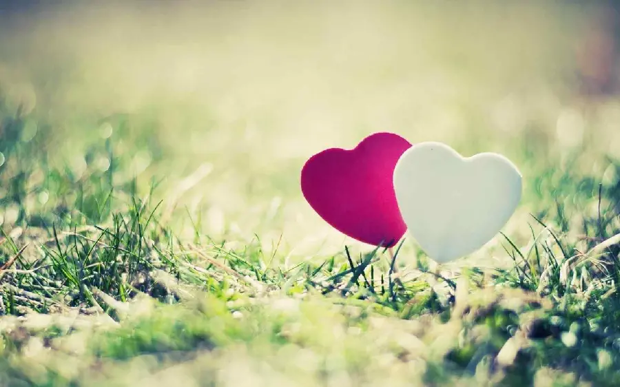 Profile photo and romantic story of two hearts connected to each other