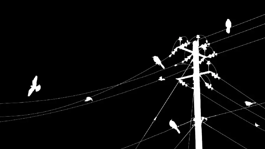 The most interesting profile photo and special and stylish background for electrical engineering students