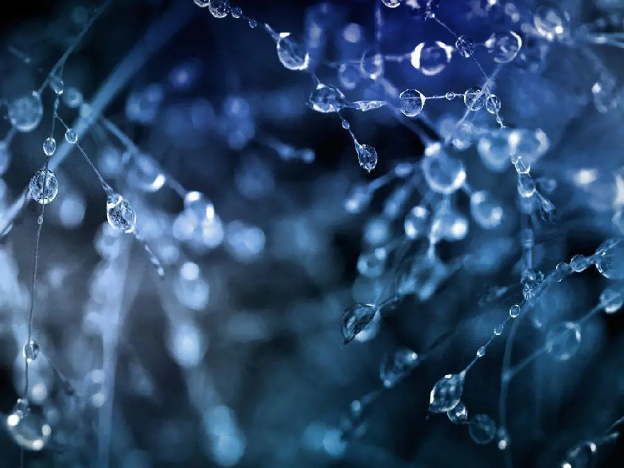 Stock Photo of Cool Water Crystal Drops in Dark Blue Theme