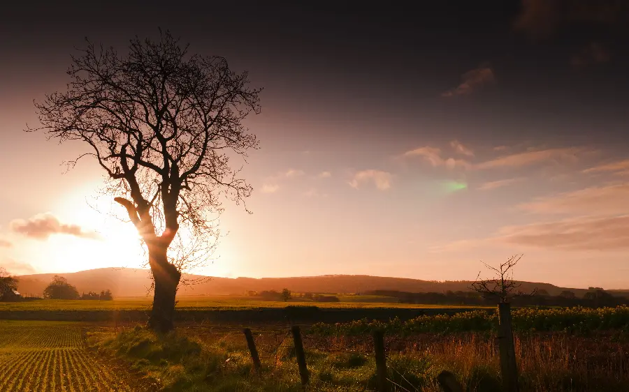 Image of sad sunset in the sky of nature