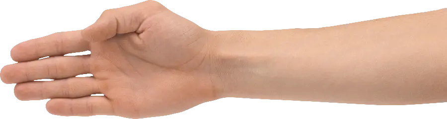 Image of a hand without a background in PNG format 