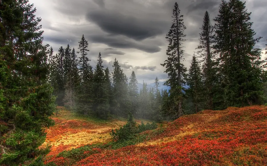 Pure and magical nature background photo for printing boards