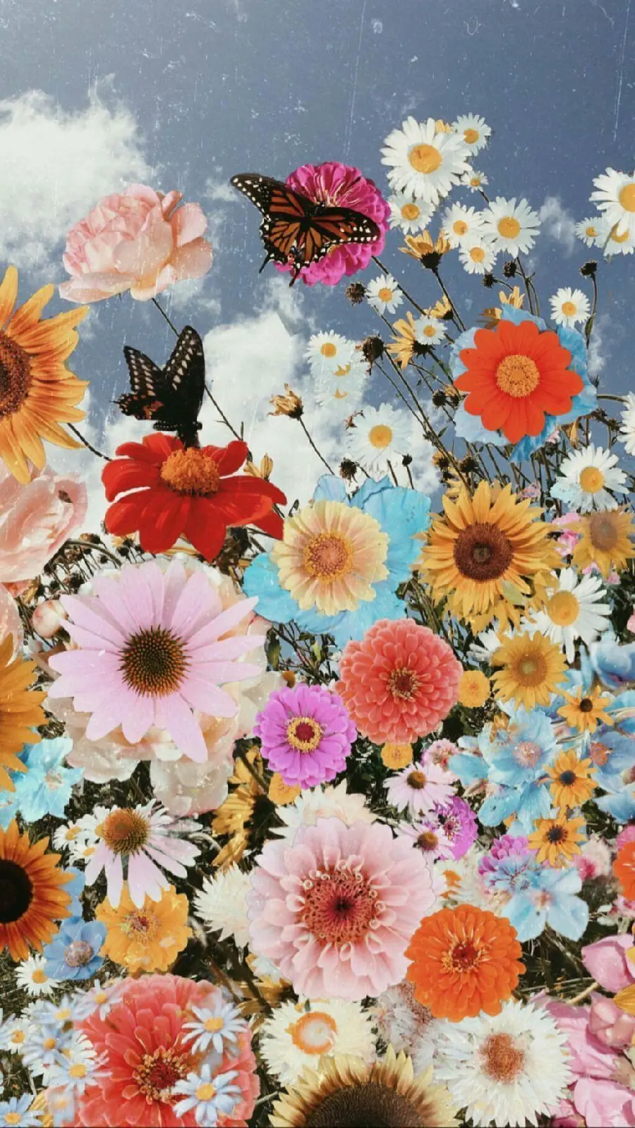 The best collage and photo collages of colorful flower designs