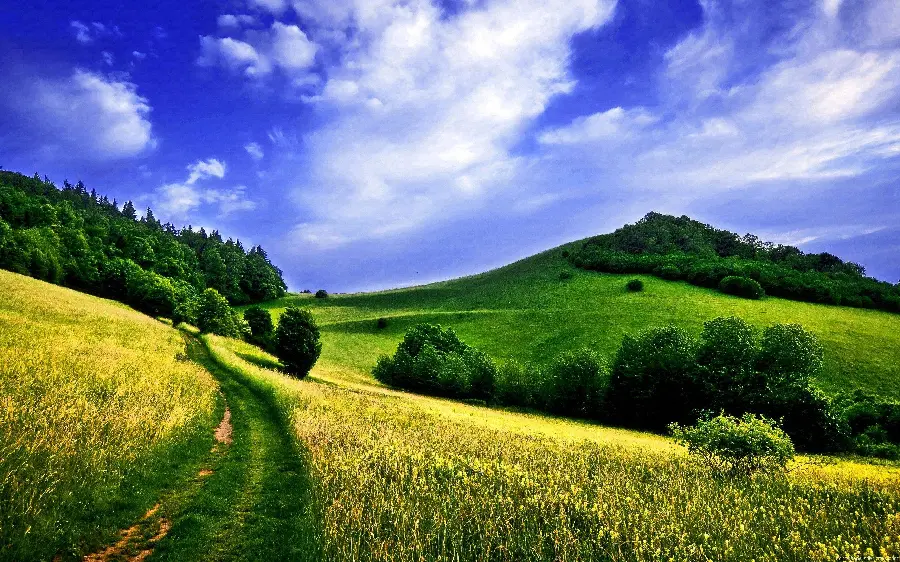 Stock image of nature with a view of meadows and green hills