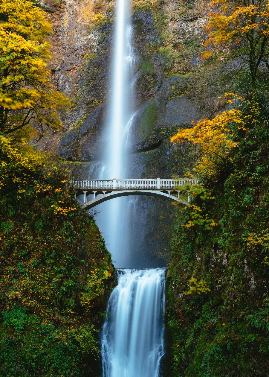 Dreamy scenery of a soothing bubbling waterfall in a silent dry autumn forest 
