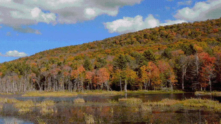 Free and High-Quality Autumn Landscape Wallpaper