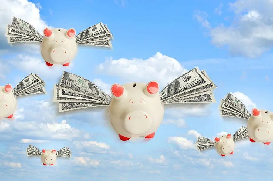 Fantasy and cute pig profile picture with money design wings