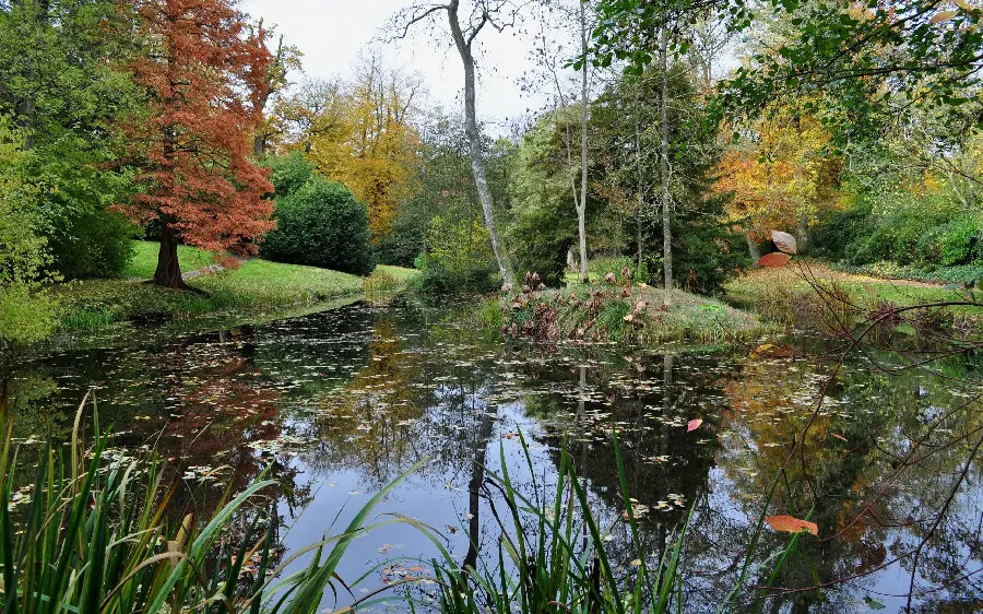 The most stylish image Forest and lake nature in HD quality 