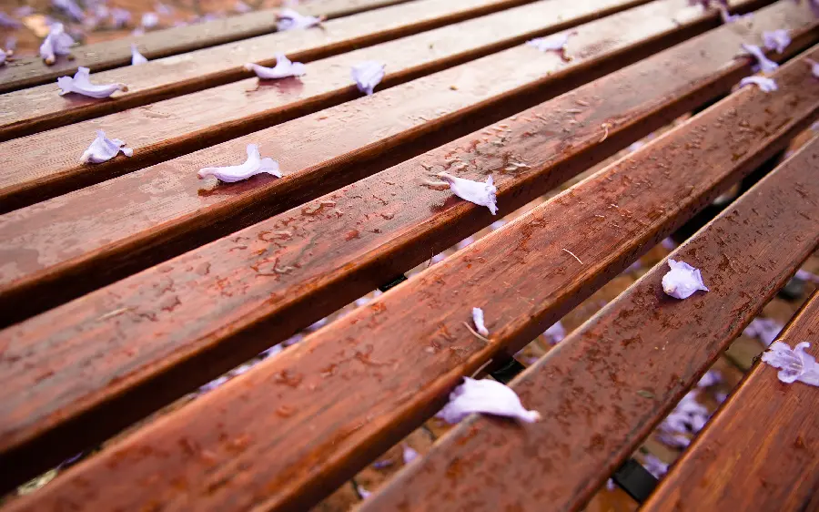 Simple photo of a wet and damp wooden bridge after the rain