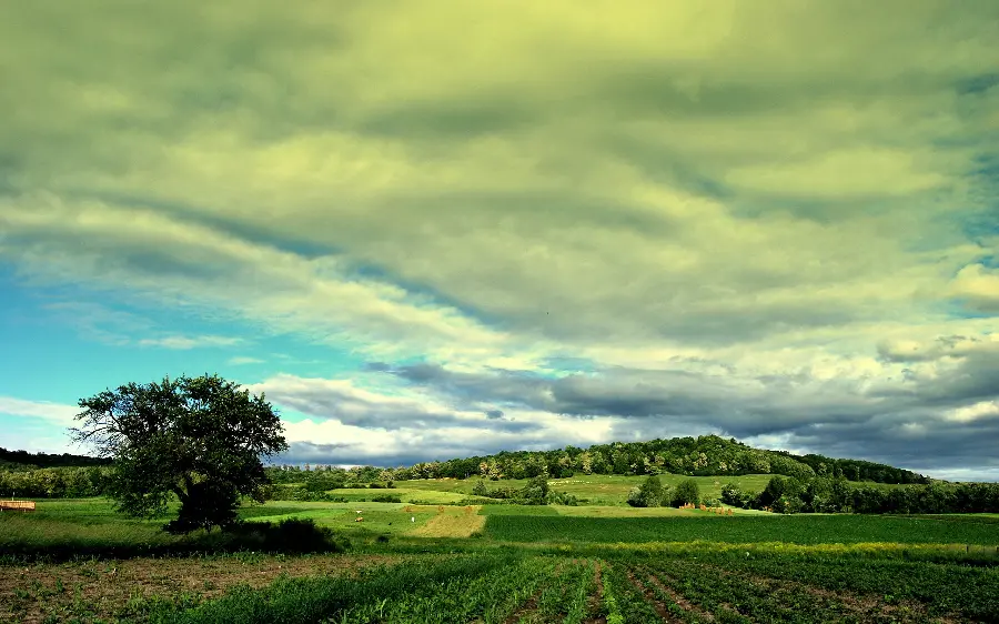The most beautiful profile picture of a blue sky full of clouds and suburban nature 