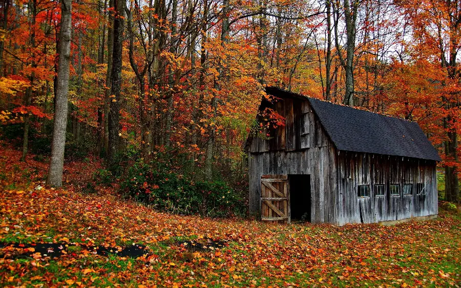 Very beautiful photo of barn in autumn nature