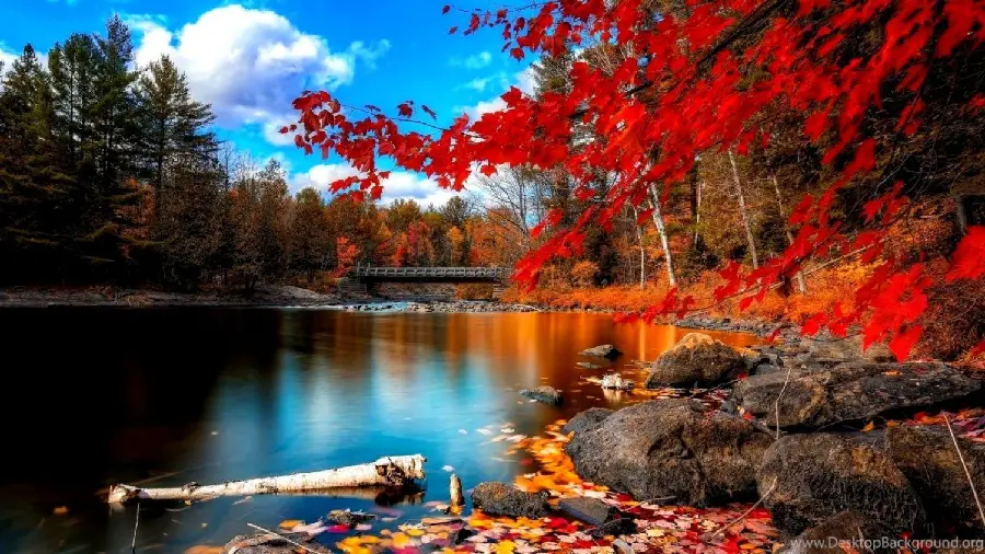 A very beautiful image of an autumn landscape by the lake 