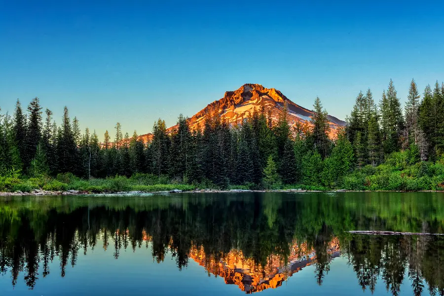 The most interesting and unique photo taken of peaceful nature 