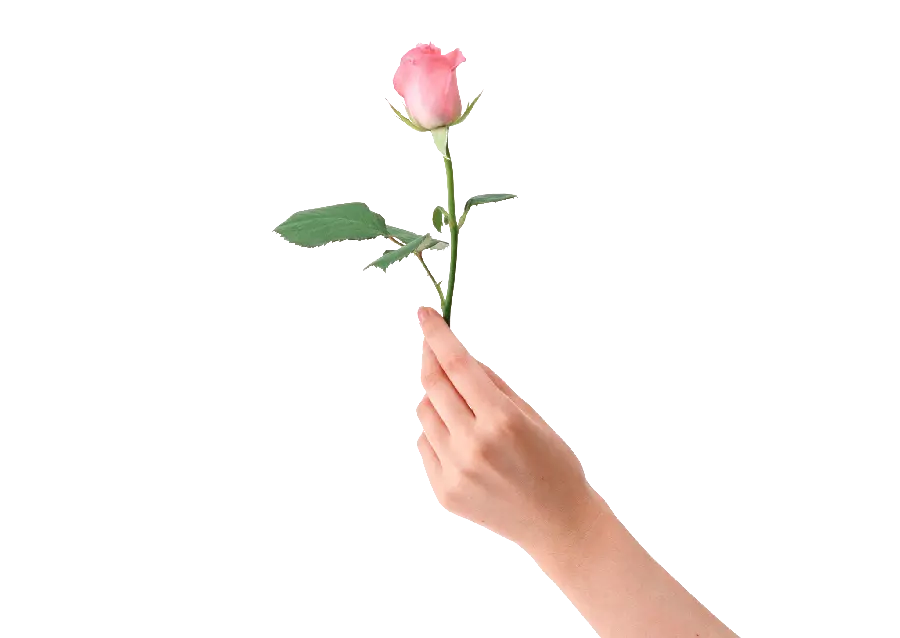 Image of a hand without a background in PNG format