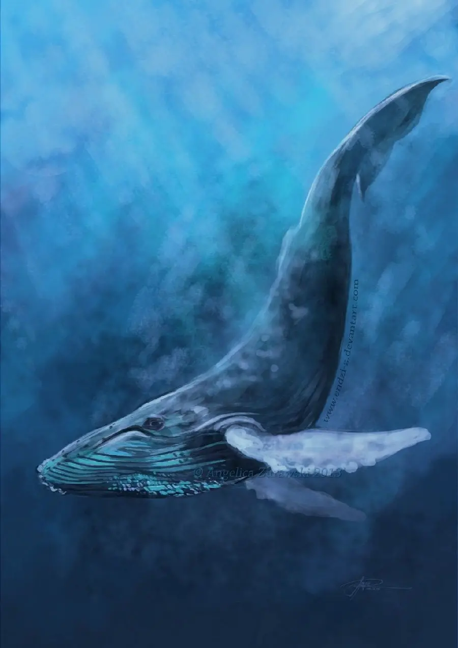 Background of sperm whale in greater depths of the Arctic sea and ocean