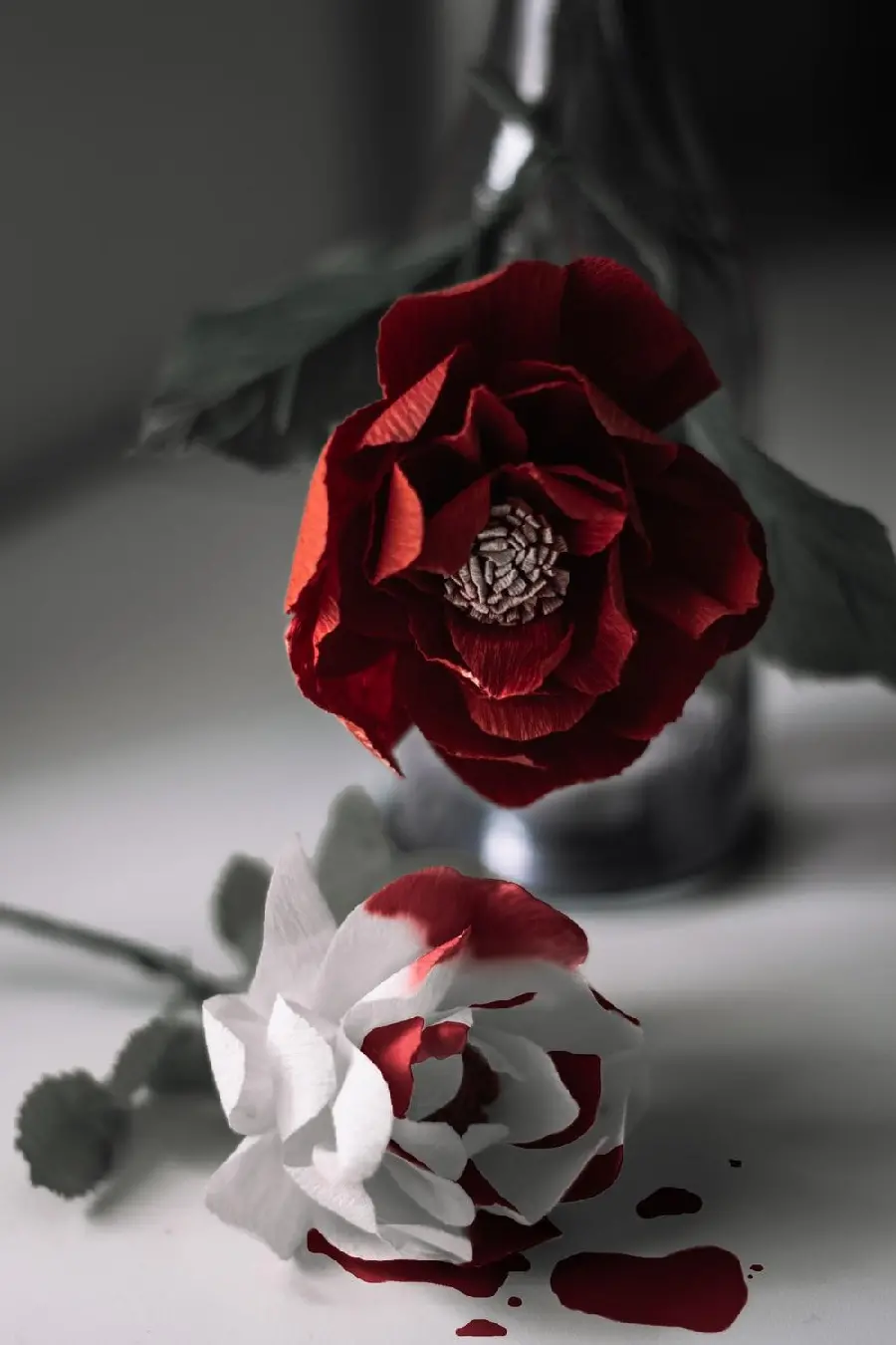 Bloody Rose Stock Photo with the Highest Quality Suitable for Printing 