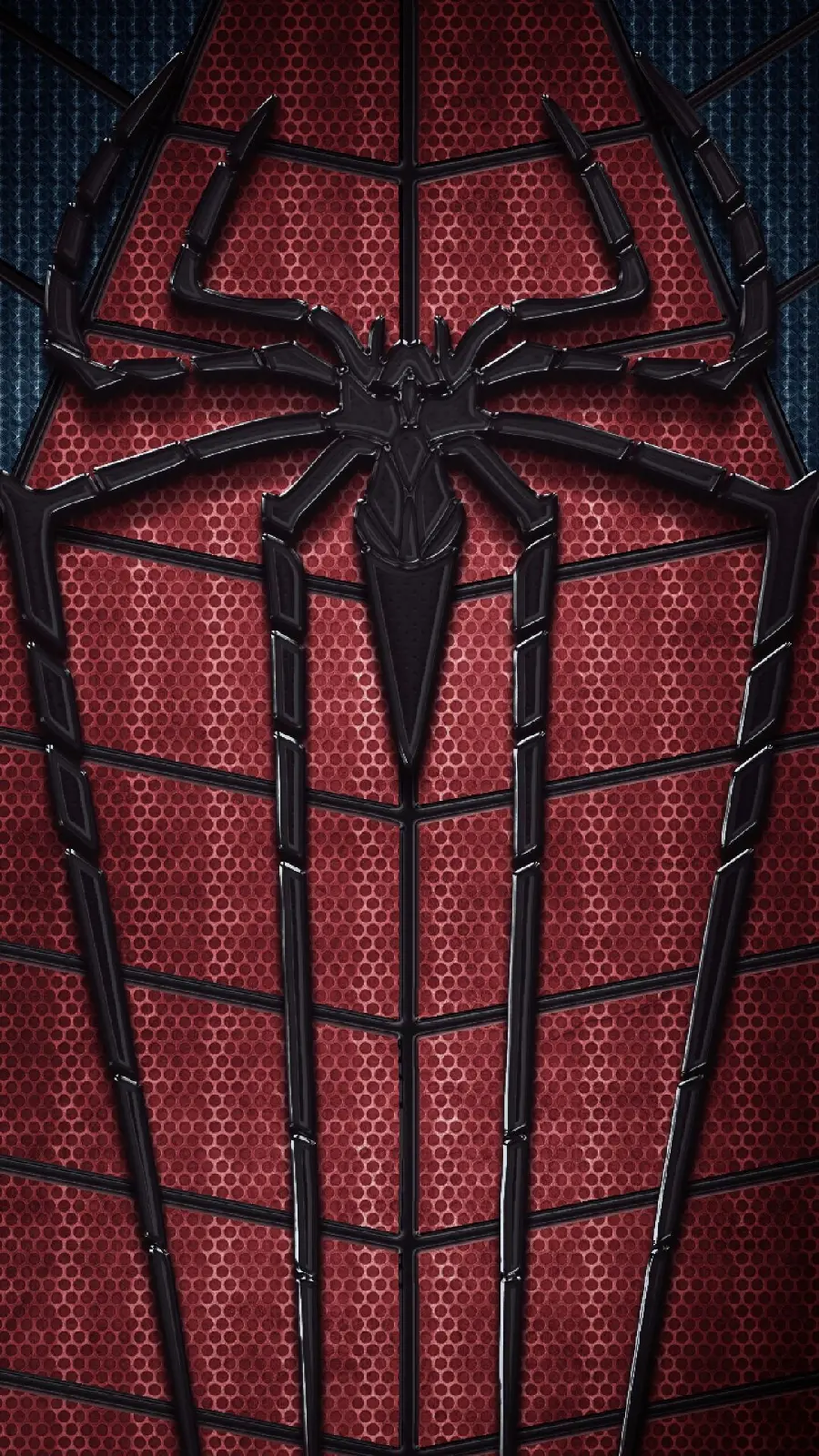 Download a beautiful and spectacular wallpaper of a spider with high quality 