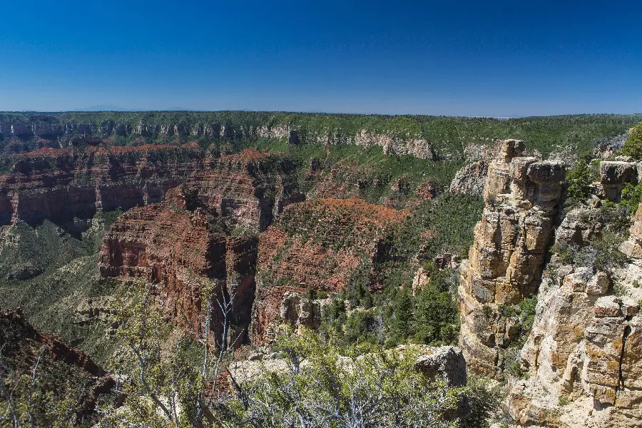 Download a photo of a terrifying cliff nature suitable for background 