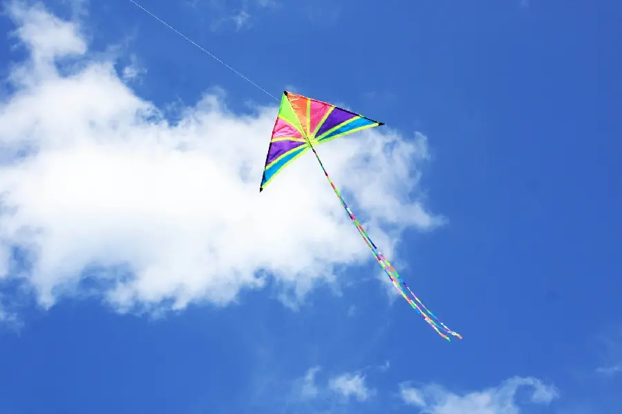 Download Unique and Special Kite Flying Wallpaper for Computer 