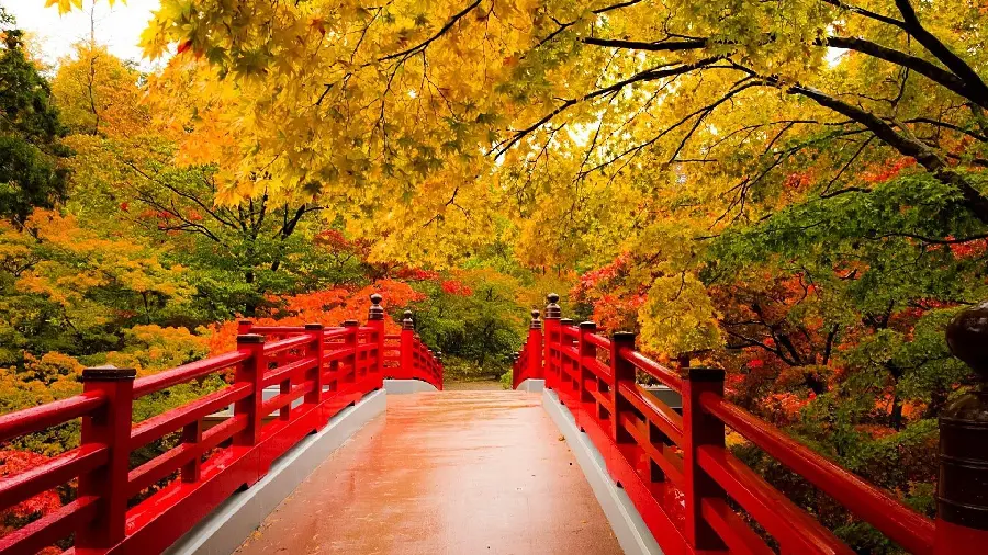 The most mysterious nature landscape wallpaper for the autumn season