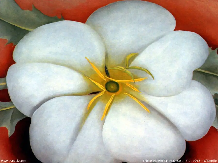 A spectacular wallpaper from Georgia O'Keeffe's works for painting printing