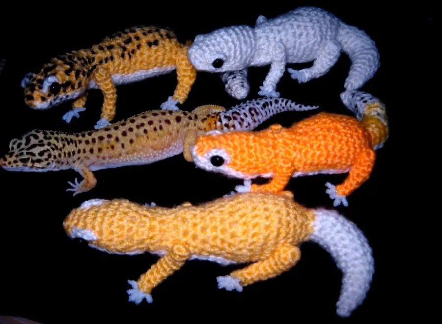 Wallpaper of knitted dolls in the shape of leopard geckos in various colors