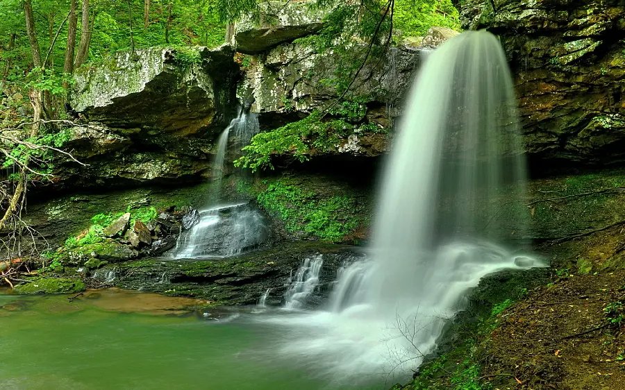 Pure and magical photos of lush and lush nature