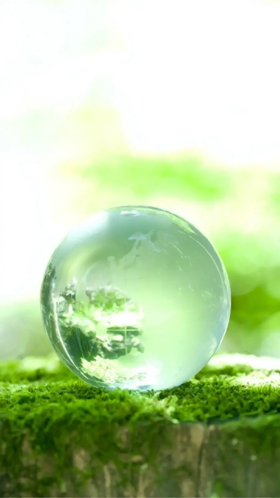Download attractive crystal and glass ball wallpaper with a simple background 