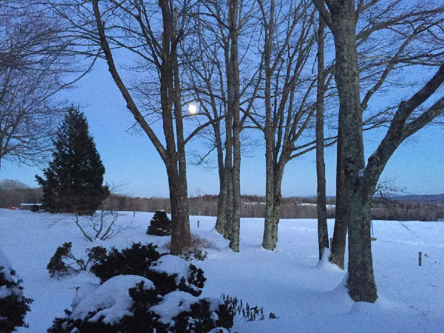 Maxfield Parrish's snowy landscape painting photo for free download 