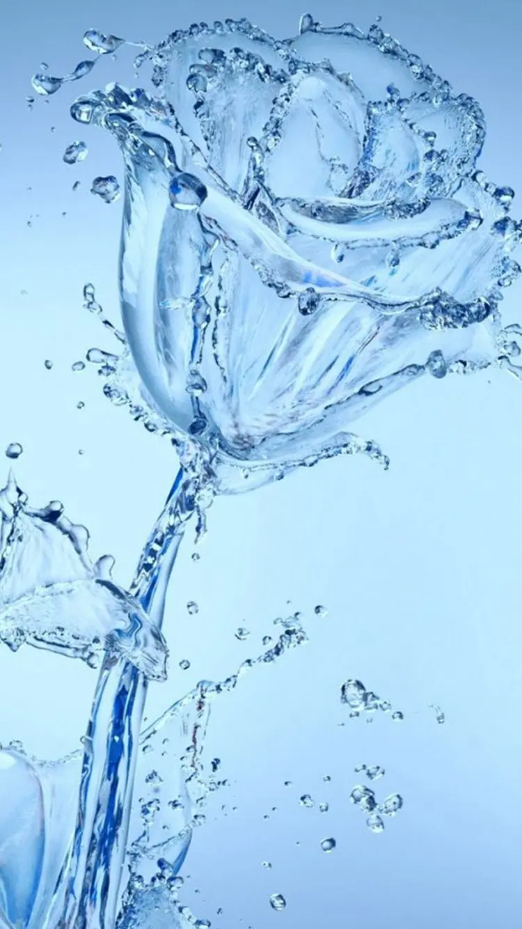 Download an interesting and spectacular wallpaper with a rose design and water for iPhone owners